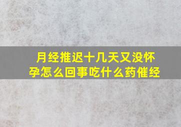 月经推迟十几天又没怀孕怎么回事吃什么药催经