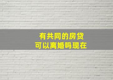 有共同的房贷可以离婚吗现在