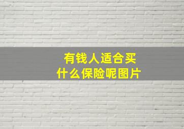 有钱人适合买什么保险呢图片