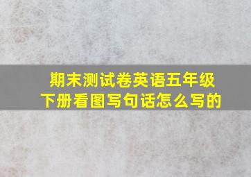 期末测试卷英语五年级下册看图写句话怎么写的