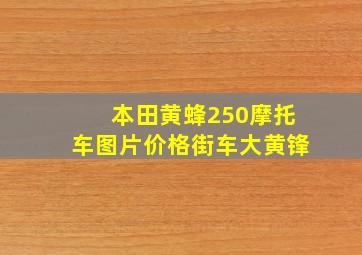 本田黄蜂250摩托车图片价格街车大黄锋