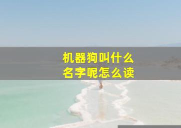 机器狗叫什么名字呢怎么读