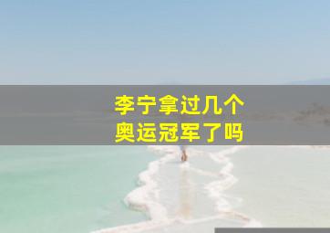 李宁拿过几个奥运冠军了吗