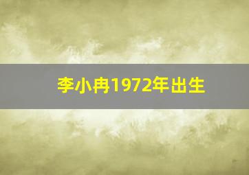 李小冉1972年出生