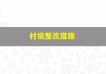 村级整改措施