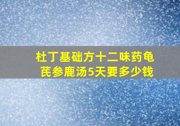 杜丁基础方十二味药龟芪参鹿汤5天要多少钱