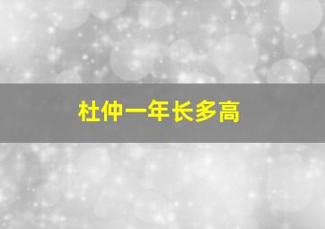 杜仲一年长多高