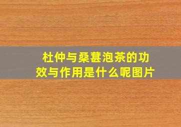 杜仲与桑葚泡茶的功效与作用是什么呢图片