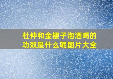 杜仲和金樱子泡酒喝的功效是什么呢图片大全