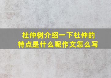 杜仲树介绍一下杜仲的特点是什么呢作文怎么写