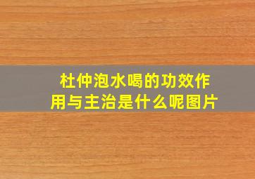 杜仲泡水喝的功效作用与主治是什么呢图片