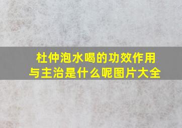 杜仲泡水喝的功效作用与主治是什么呢图片大全