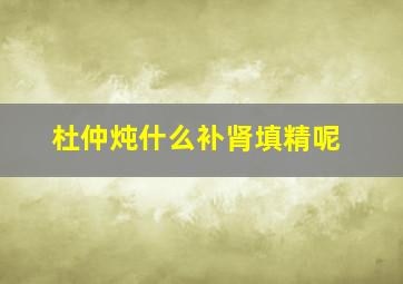 杜仲炖什么补肾填精呢