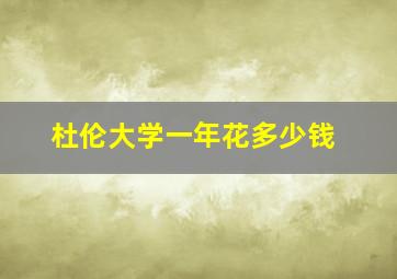 杜伦大学一年花多少钱