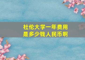 杜伦大学一年费用是多少钱人民币啊