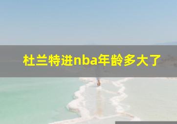 杜兰特进nba年龄多大了