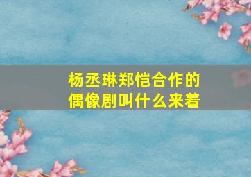 杨丞琳郑恺合作的偶像剧叫什么来着