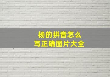 杨的拼音怎么写正确图片大全