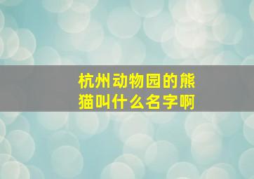 杭州动物园的熊猫叫什么名字啊