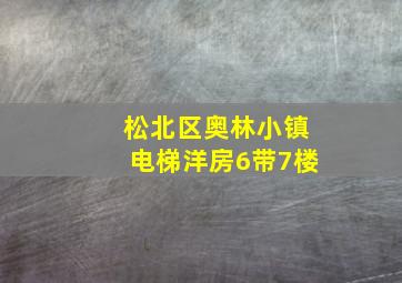 松北区奥林小镇电梯洋房6带7楼