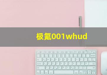 极氪001whud