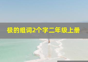 极的组词2个字二年级上册