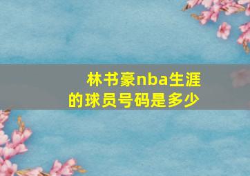 林书豪nba生涯的球员号码是多少