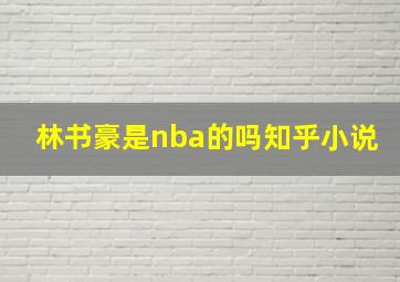 林书豪是nba的吗知乎小说