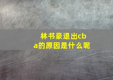 林书豪退出cba的原因是什么呢