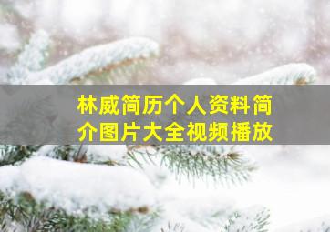 林威简历个人资料简介图片大全视频播放