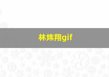 林炜翔gif