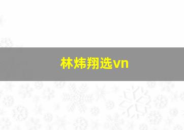 林炜翔选vn