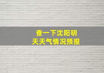 查一下沈阳明天天气情况预报