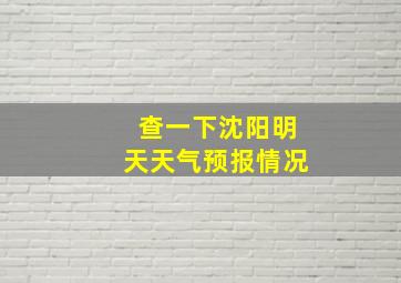 查一下沈阳明天天气预报情况