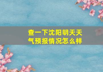 查一下沈阳明天天气预报情况怎么样