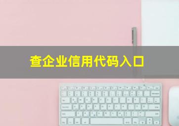 查企业信用代码入口