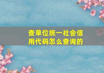 查单位统一社会信用代码怎么查询的