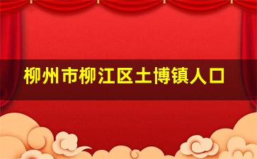 柳州市柳江区土博镇人口