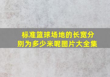 标准篮球场地的长宽分别为多少米呢图片大全集