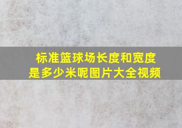 标准篮球场长度和宽度是多少米呢图片大全视频