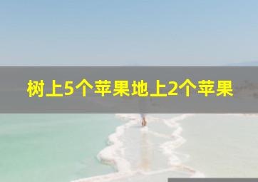 树上5个苹果地上2个苹果