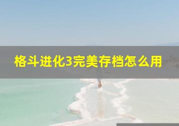 格斗进化3完美存档怎么用