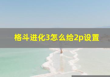 格斗进化3怎么给2p设置