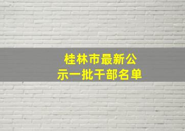 桂林市最新公示一批干部名单