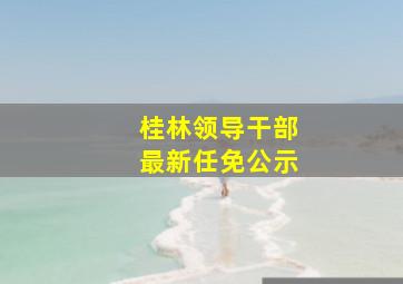 桂林领导干部最新任免公示