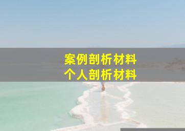 案例剖析材料个人剖析材料