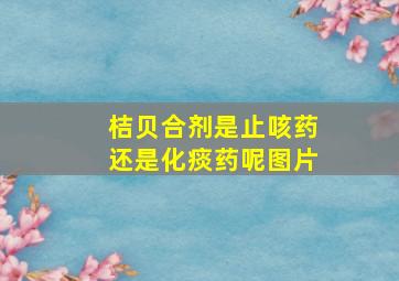 桔贝合剂是止咳药还是化痰药呢图片