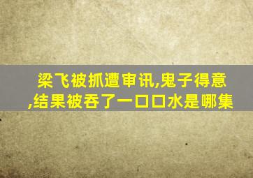 梁飞被抓遭审讯,鬼子得意,结果被吞了一口口水是哪集