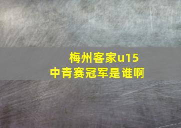 梅州客家u15中青赛冠军是谁啊