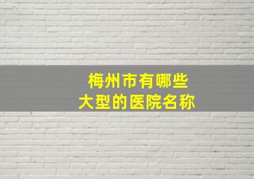 梅州市有哪些大型的医院名称